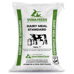 Dairy Meal Standard